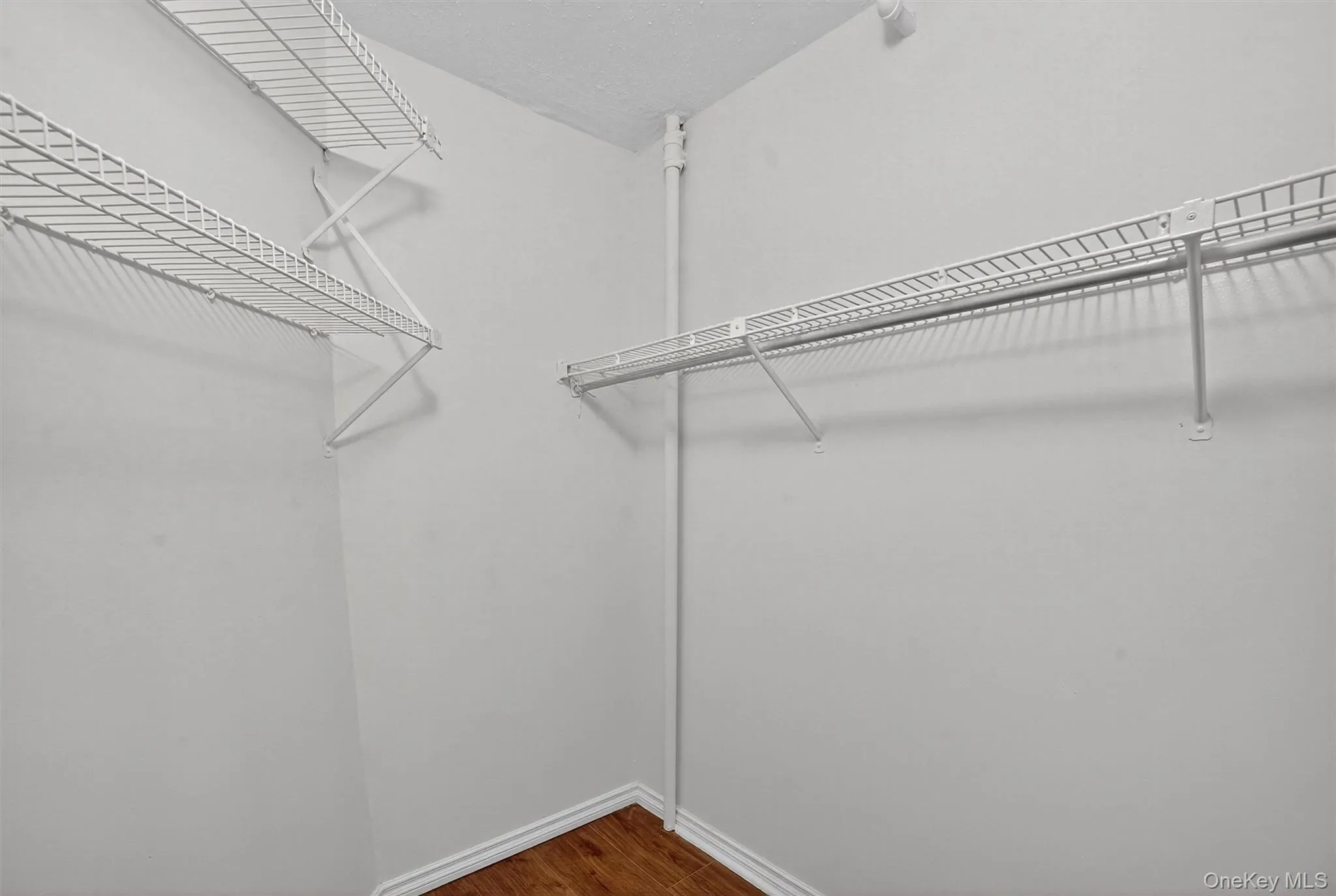 Spacious closet featuring dark wood-style floors Spacious closet featuring dark wood-style floors