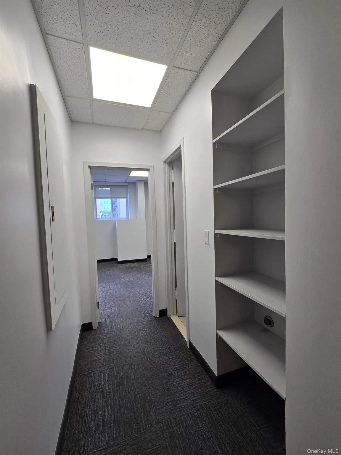 Hallway featuring dark colored carpet and a paneled ceiling Hallway featuring dark colored carpet and a paneled ceiling