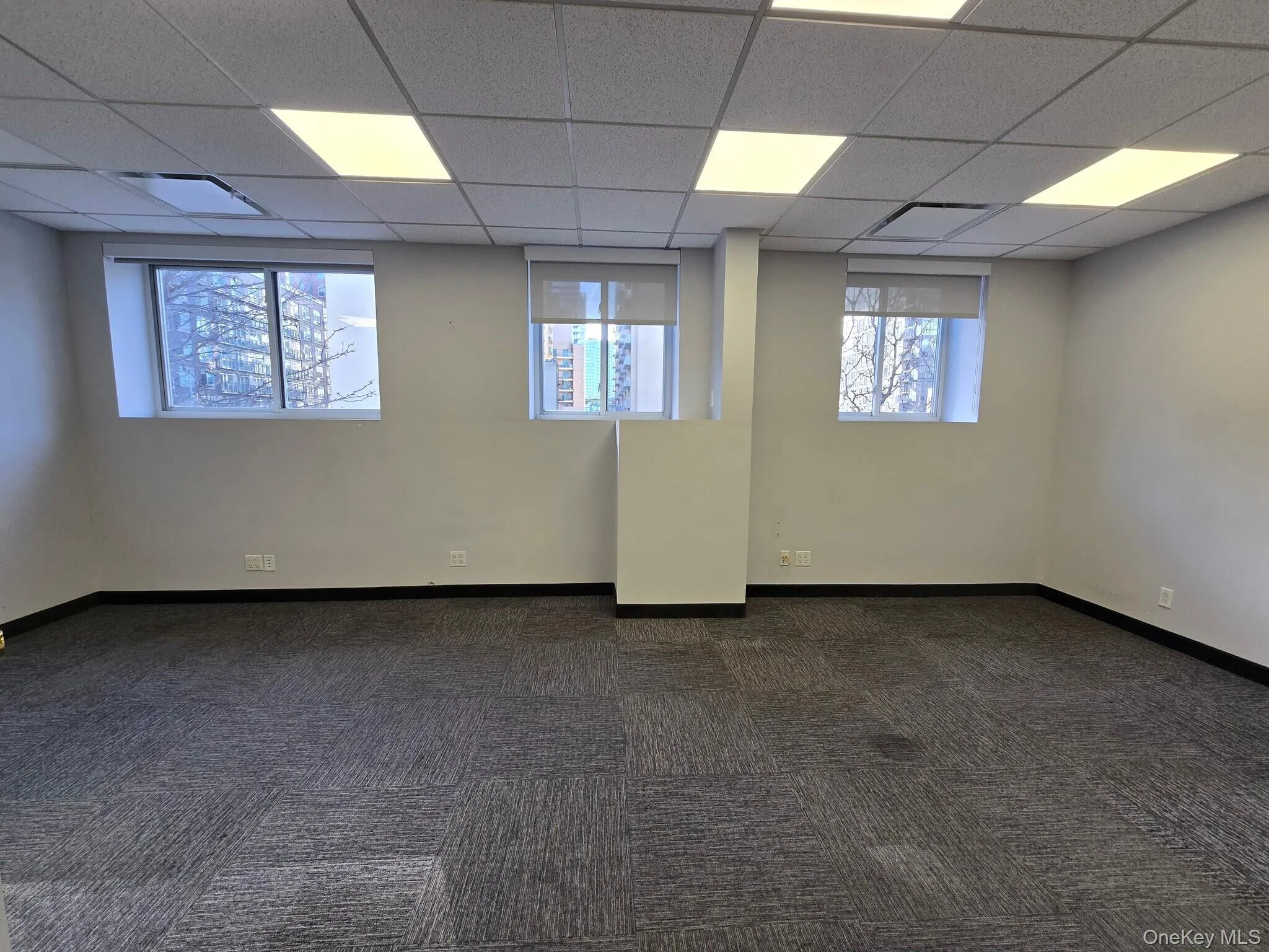Empty room featuring dark colored carpet and a paneled ceiling Empty room featuring dark colored carpet and a paneled ceiling