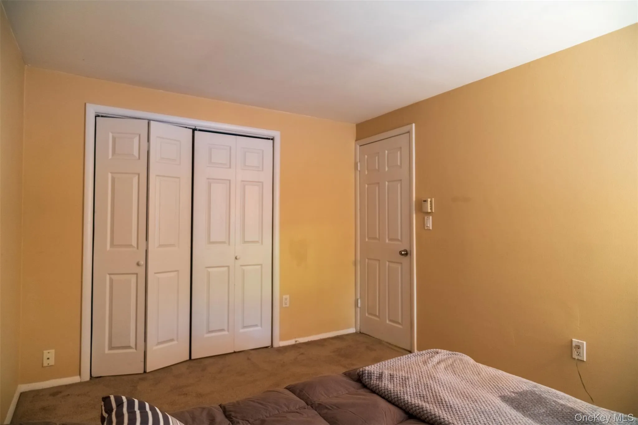 Carpeted bedroom with a closet and baseboards Carpeted bedroom with a closet and baseboards
