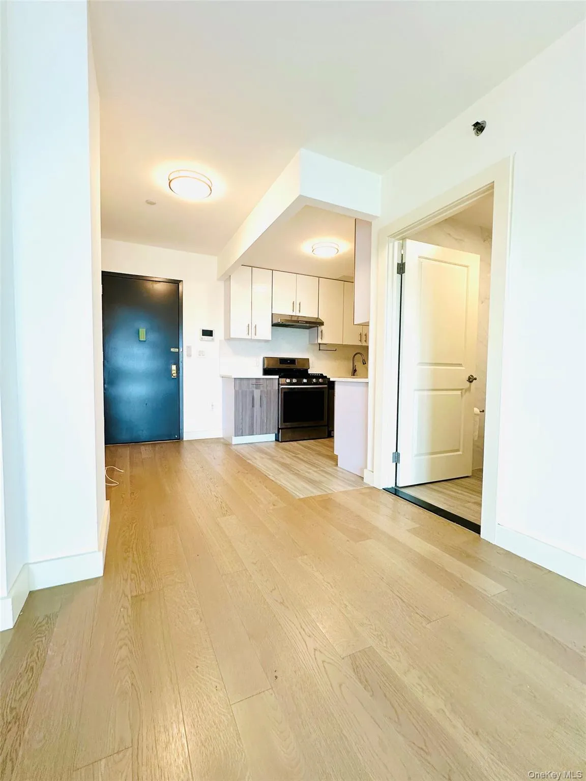 62-98 Woodhaven Blvd, New York, NY, 2 Rooms Rooms,1 BathroomBathrooms,Residential,For Rent,Woodhaven Blvd,0,921689 62-98 Woodhaven Blvd, New York, NY, 2 Rooms Rooms,1 BathroomBathrooms,Residential,For Rent,Woodhaven Blvd,0,921689