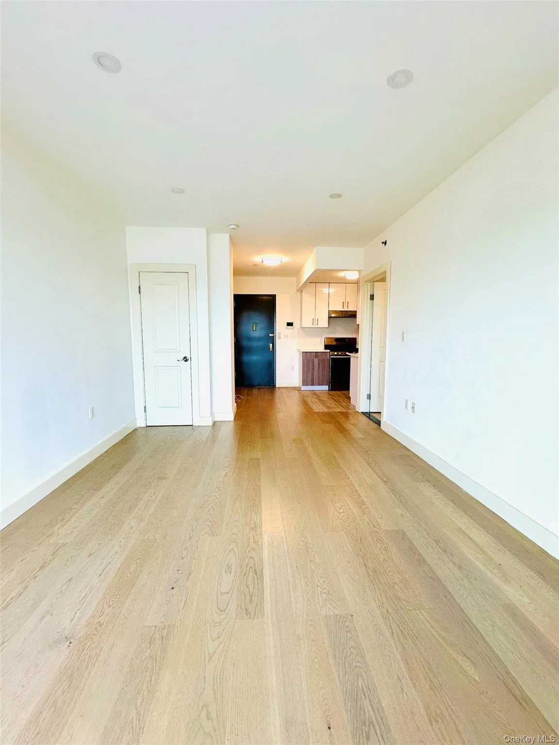 Unfurnished living room with light wood-type flooring and baseboards Unfurnished living room with light wood-type flooring and baseboards