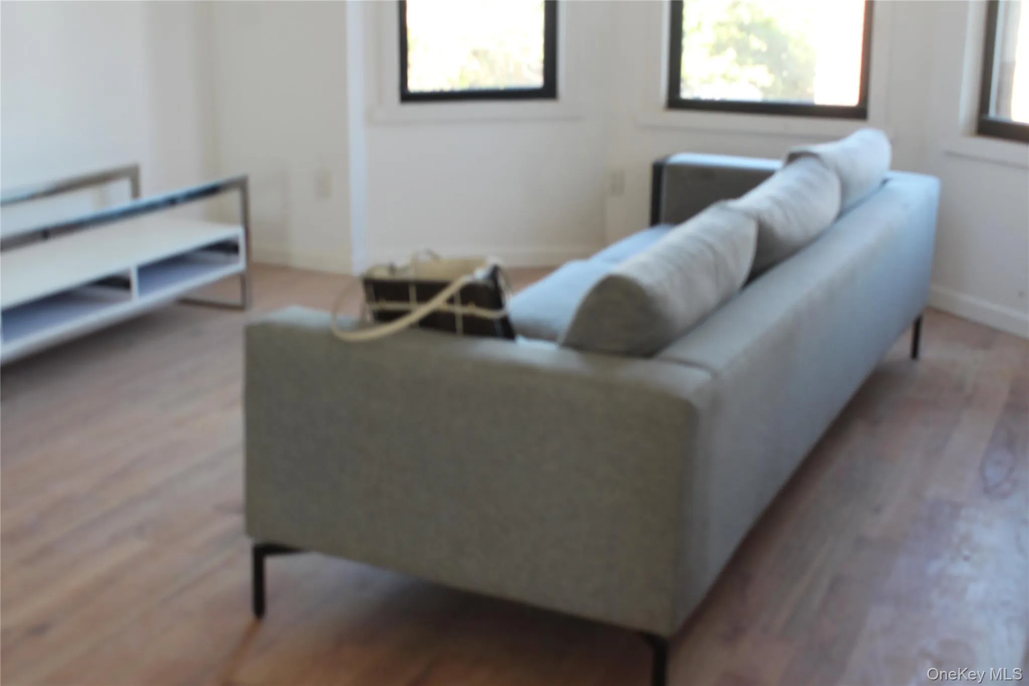 Living area featuring light wood finished floors and baseboards Living area featuring light wood finished floors and baseboards