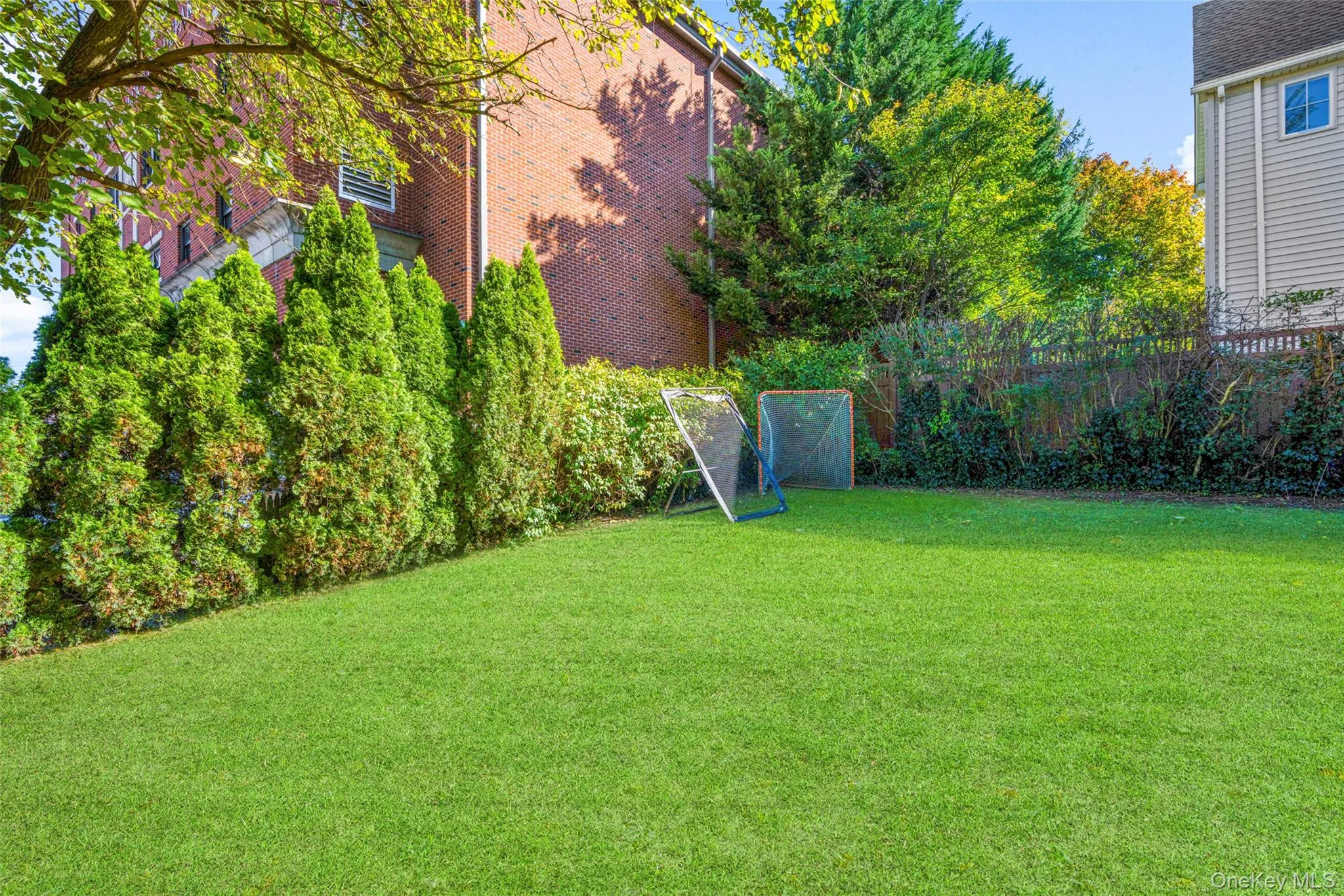 View of yard View of yard