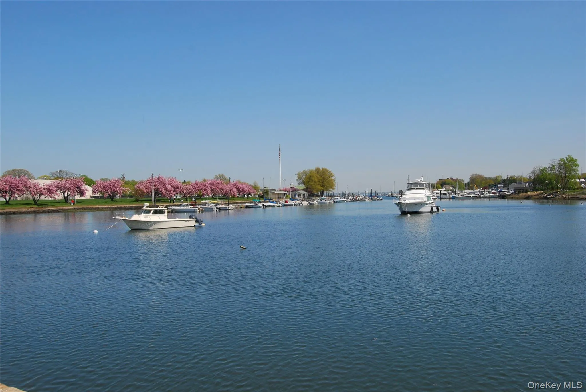 Harbor with moored boats at Harbor Island Park Harbor with moored boats at Harbor Island Park