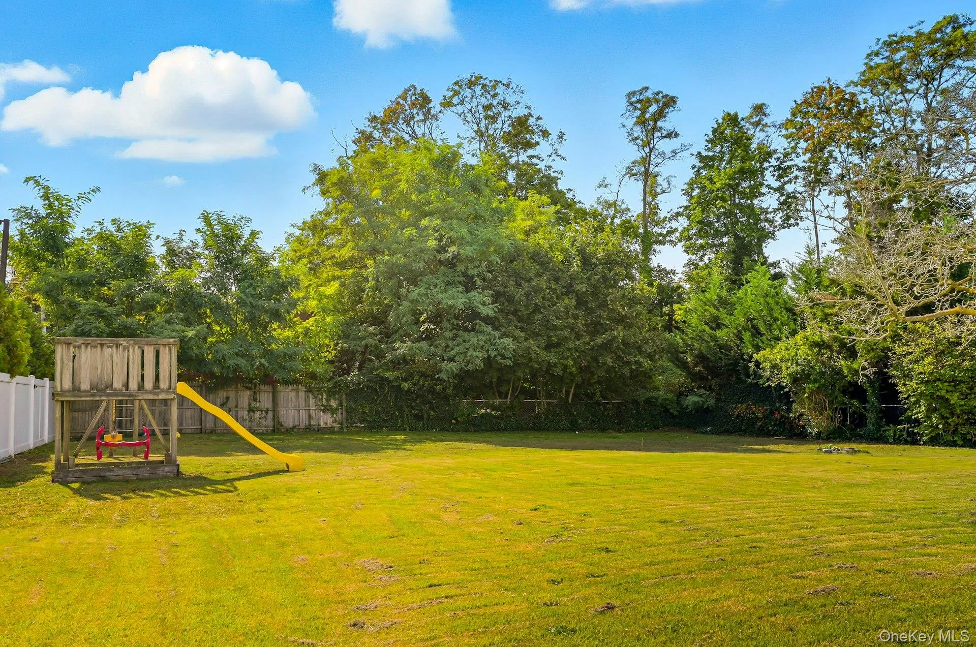 Fenced backyard view of scattered trees - level property Fenced backyard view of scattered trees - level property