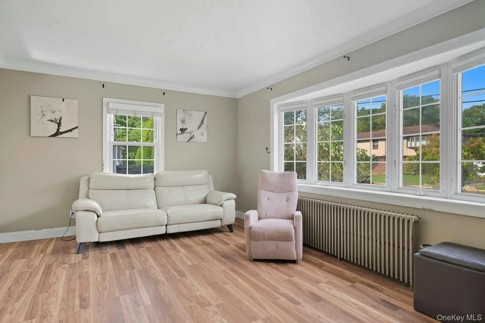 Living room featuring ornamental molding, radiator, and light wood finished floors Living room featuring ornamental molding, radiator, and light wood finished floors