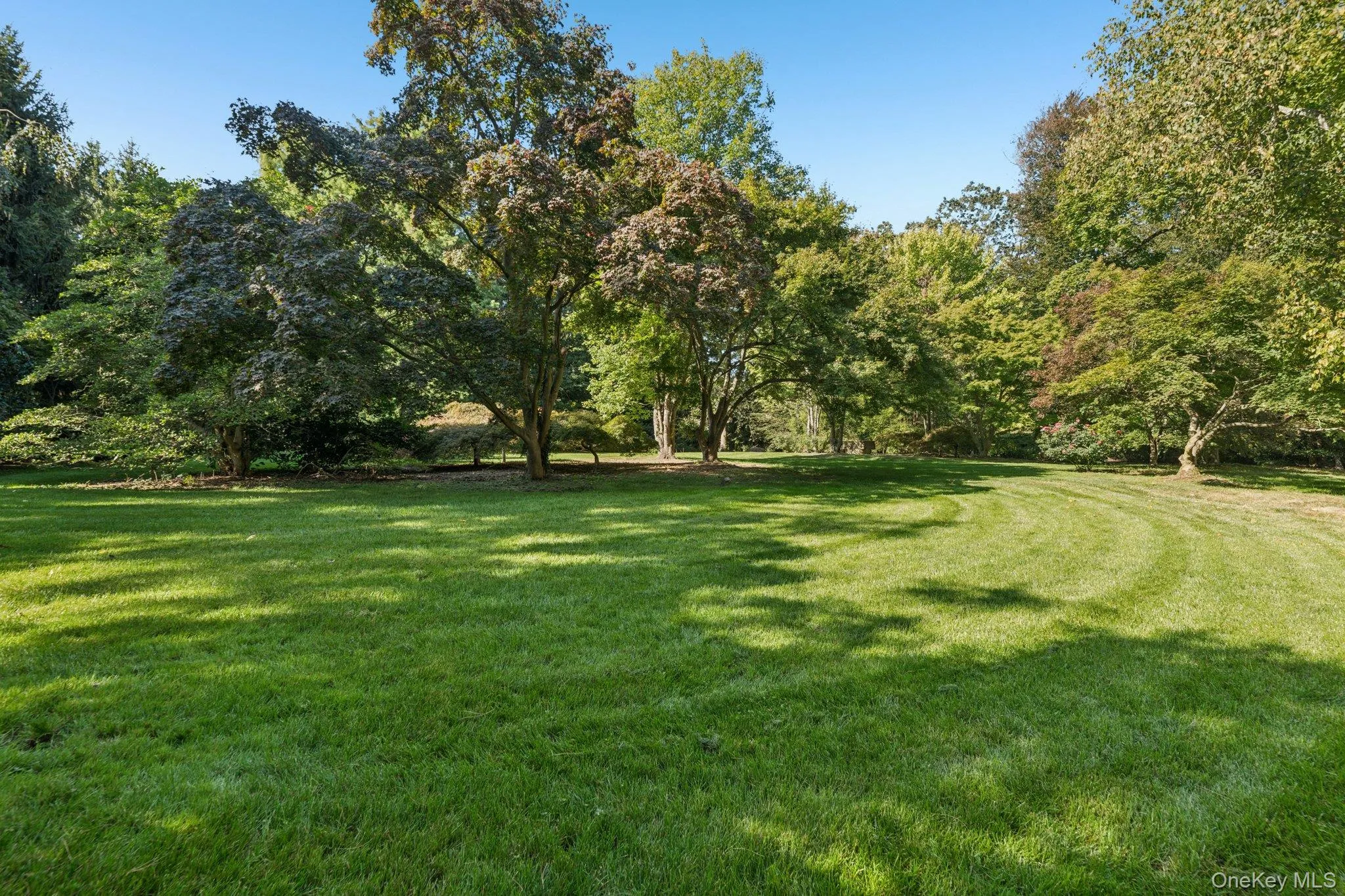 18 Heights Road, North Hempstead, NY, 5 Bedrooms Bedrooms, 16 Rooms Rooms,4 BathroomsBathrooms,Residential Lease,For Rent,Heights,0,921792 18 Heights Road, North Hempstead, NY, 5 Bedrooms Bedrooms, 16 Rooms Rooms,4 BathroomsBathrooms,Residential Lease,For Rent,Heights,0,921792