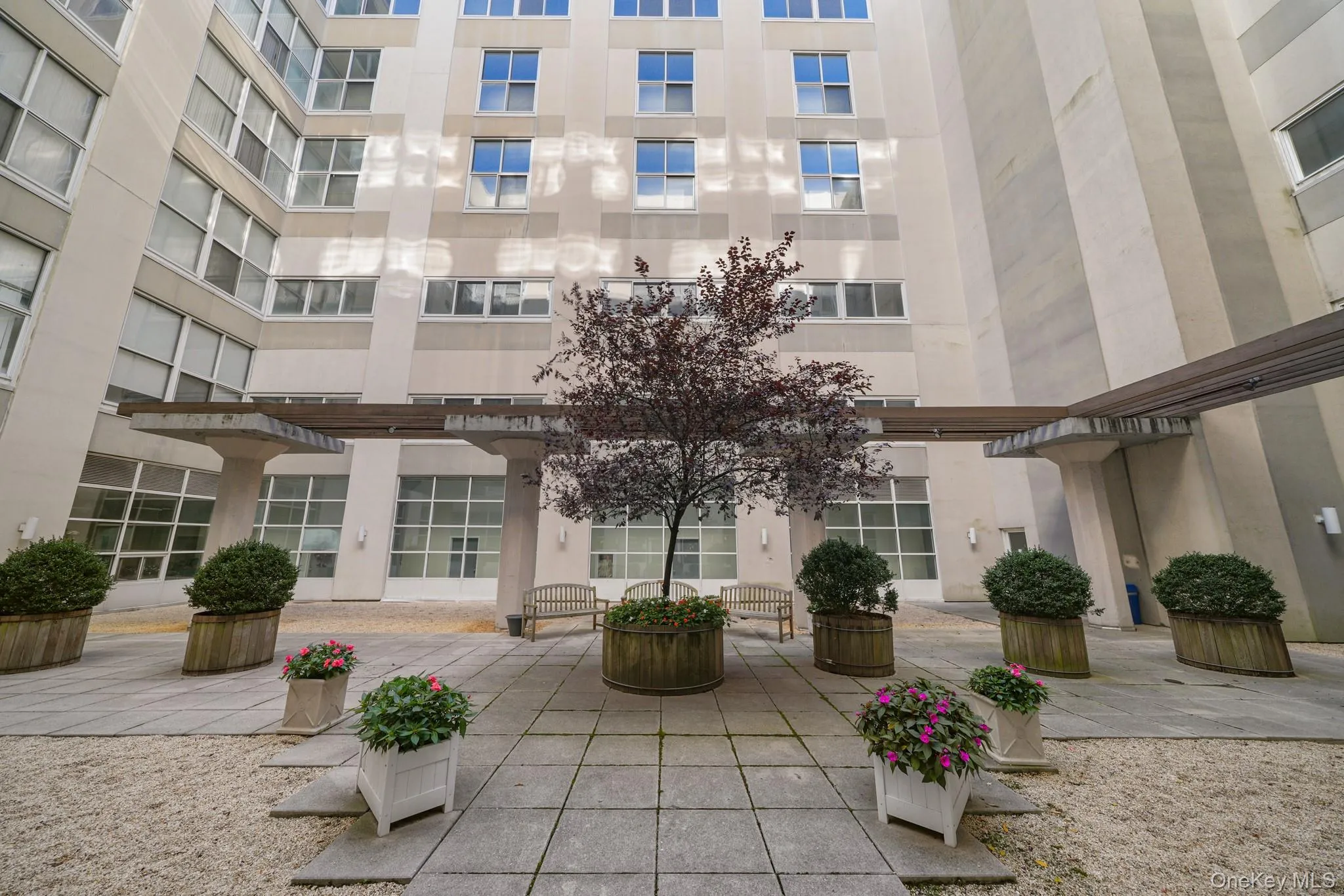 View of courtyard / complex View of courtyard / complex