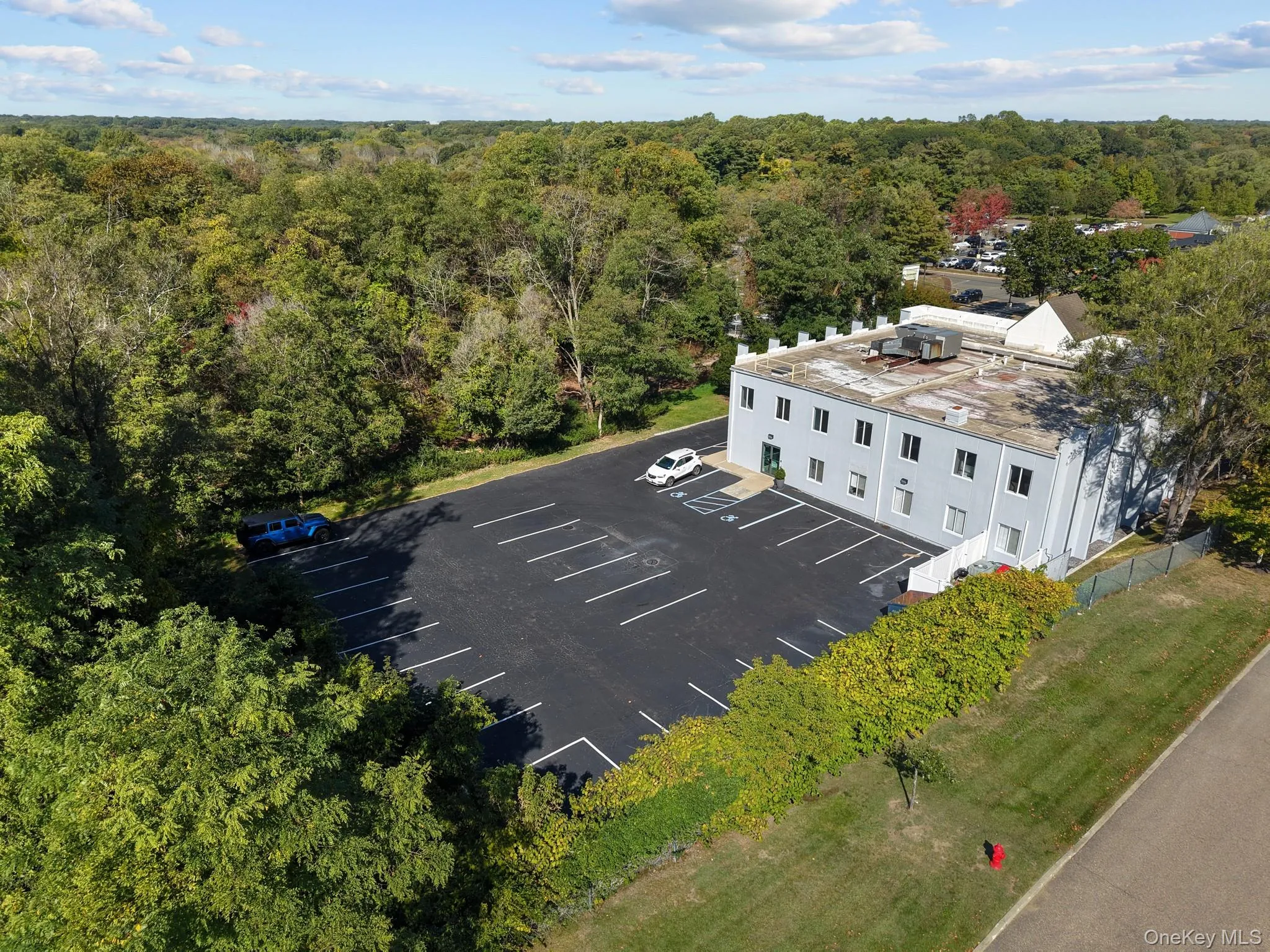 Aerial view of a forest Aerial view of a forest