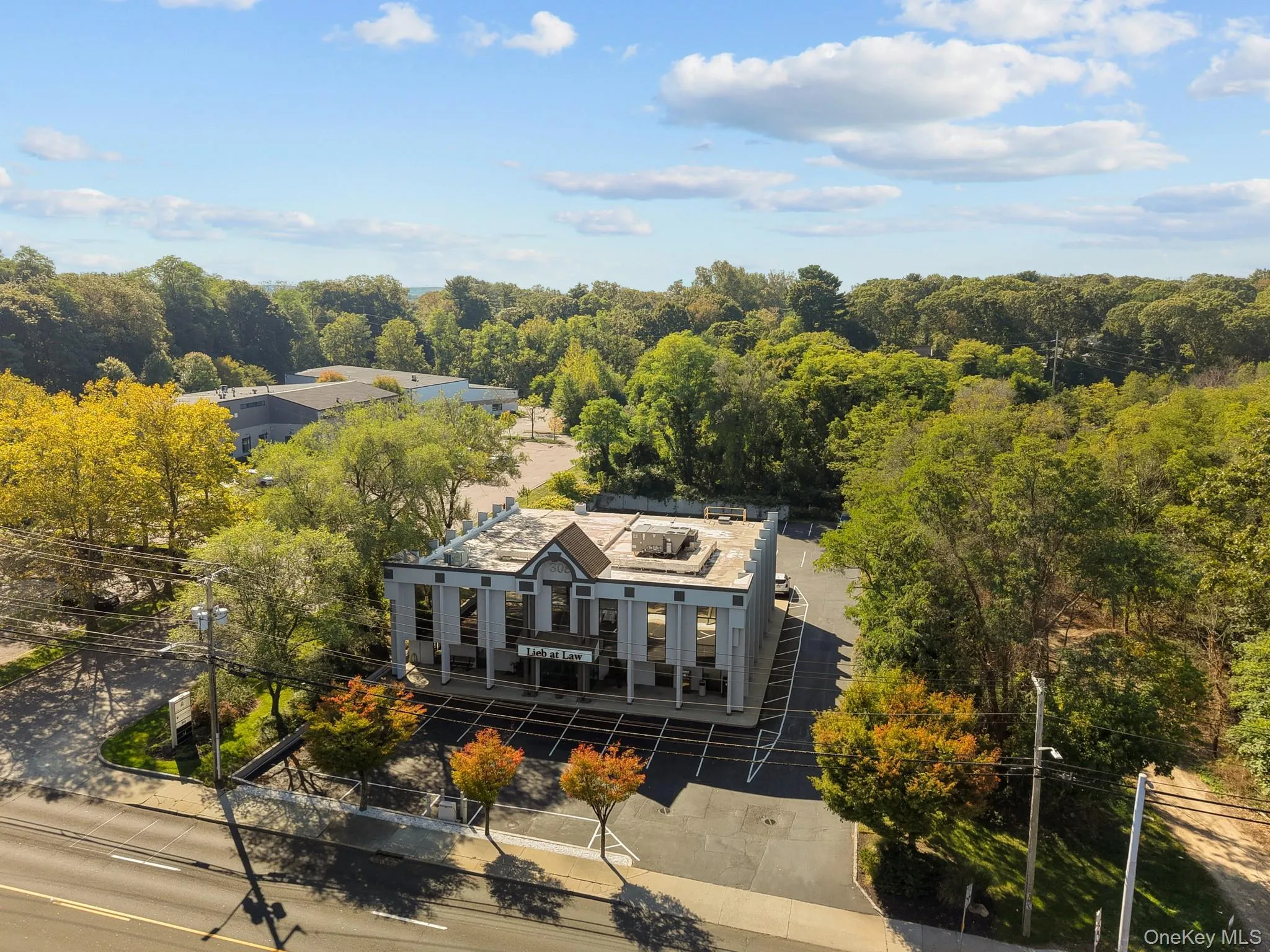 Drone / aerial view of a forest Drone / aerial view of a forest