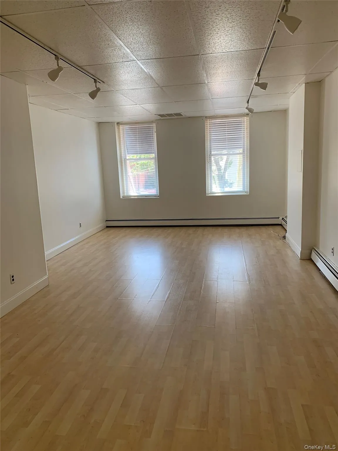 Unfurnished room featuring rail lighting, healthy amount of natural light, light wood-type flooring, a baseboard radiator, and a paneled ceiling Unfurnished room featuring rail lighting, healthy amount of natural light, light wood-type flooring, a baseboard radiator, and a paneled ceiling