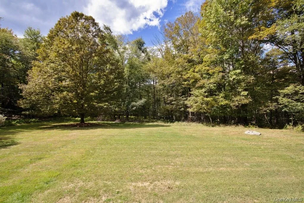 View of grassy yard with a wooded view View of grassy yard with a wooded view