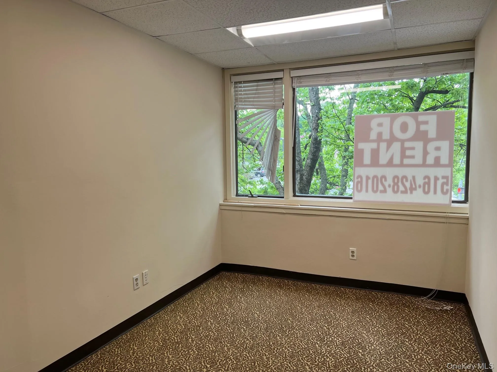 33 Great Neck Road, North Hempstead, NY, ,Commercial Lease,Idx,Great Neck,0,922307 33 Great Neck Road, North Hempstead, NY, ,Commercial Lease,Idx,Great Neck,0,922307