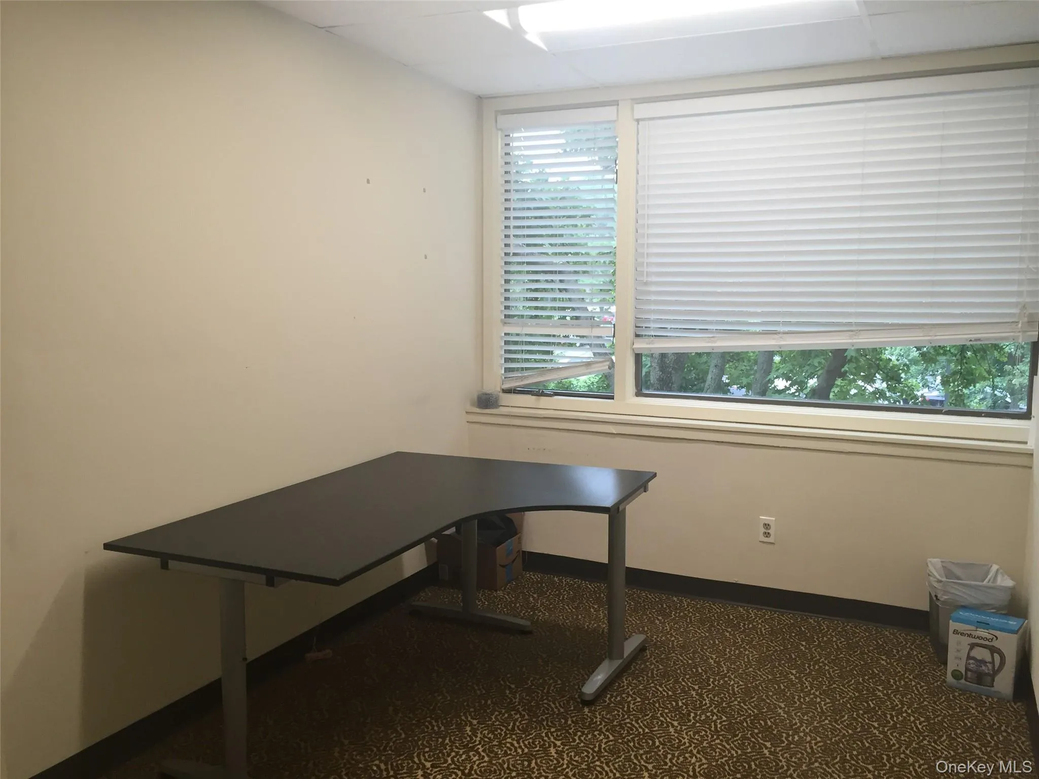 33 Great Neck Road, North Hempstead, NY, ,Commercial Lease,Idx,Great Neck,0,922307 33 Great Neck Road, North Hempstead, NY, ,Commercial Lease,Idx,Great Neck,0,922307