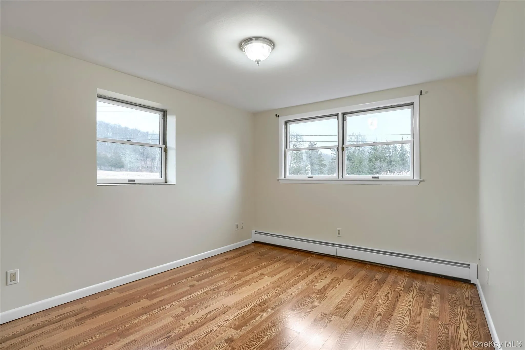 Empty room with a baseboard radiator and light wood-style flooring Empty room with a baseboard radiator and light wood-style flooring
