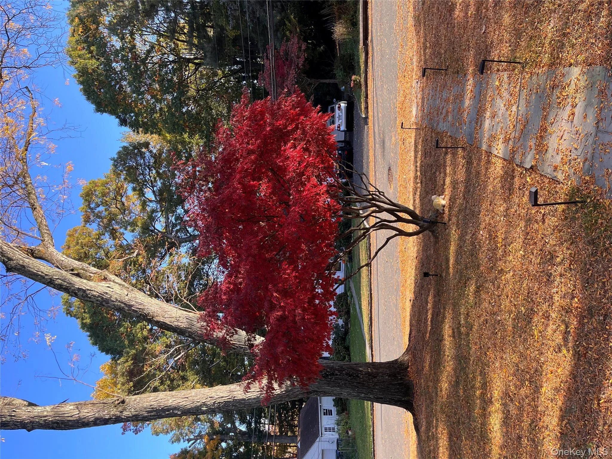 110 Topland Road, White Plains, NY, 4 Bedrooms Bedrooms, 5 Rooms Rooms,2 BathroomsBathrooms,Residential Lease,Idx,Topland,0,922509 110 Topland Road, White Plains, NY, 4 Bedrooms Bedrooms, 5 Rooms Rooms,2 BathroomsBathrooms,Residential Lease,Idx,Topland,0,922509