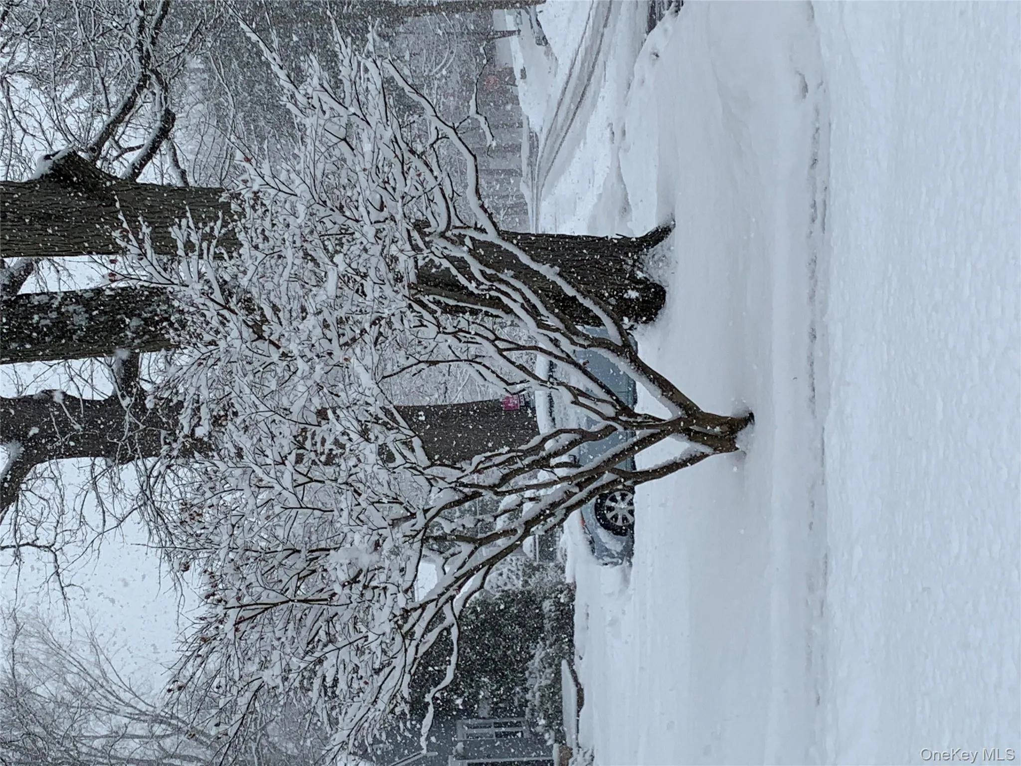 110 Topland Road, White Plains, NY, 4 Bedrooms Bedrooms, 5 Rooms Rooms,2 BathroomsBathrooms,Residential Lease,Idx,Topland,0,922509 110 Topland Road, White Plains, NY, 4 Bedrooms Bedrooms, 5 Rooms Rooms,2 BathroomsBathrooms,Residential Lease,Idx,Topland,0,922509