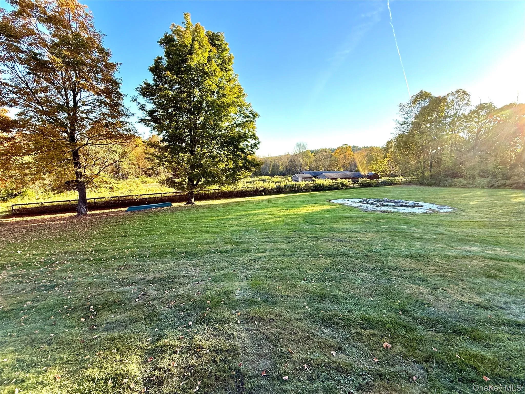 View of green lawn View of green lawn