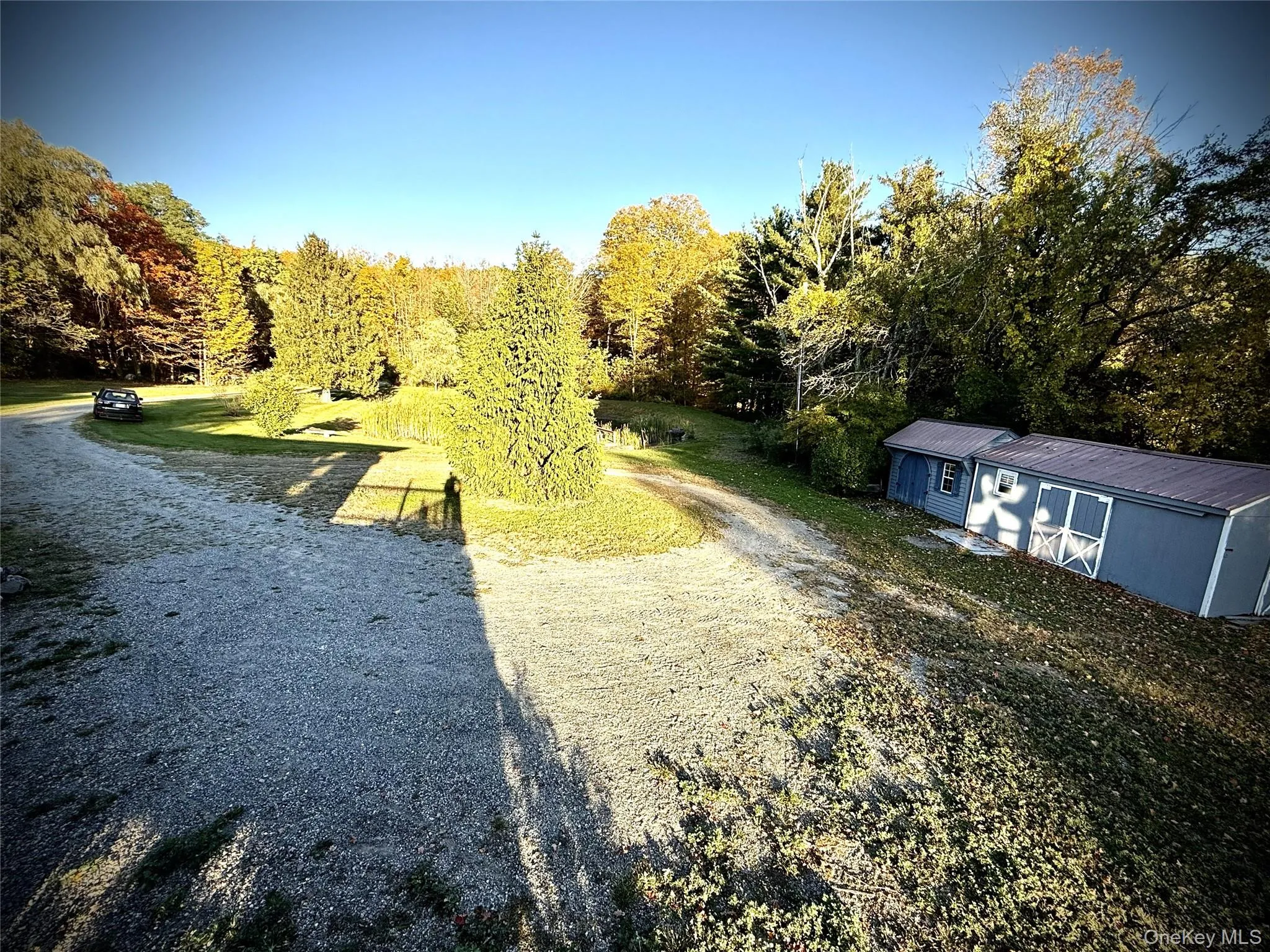 View of yard with a view of trees View of yard with a view of trees