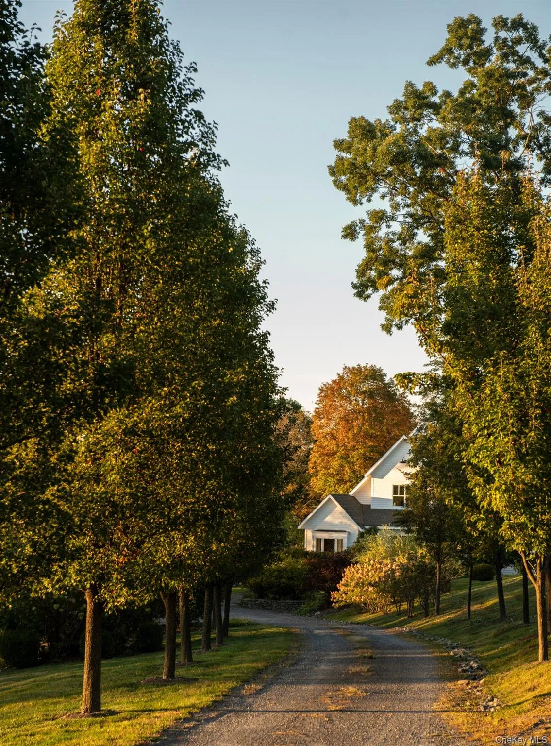 View of dirt / gravel driveway View of dirt / gravel driveway
