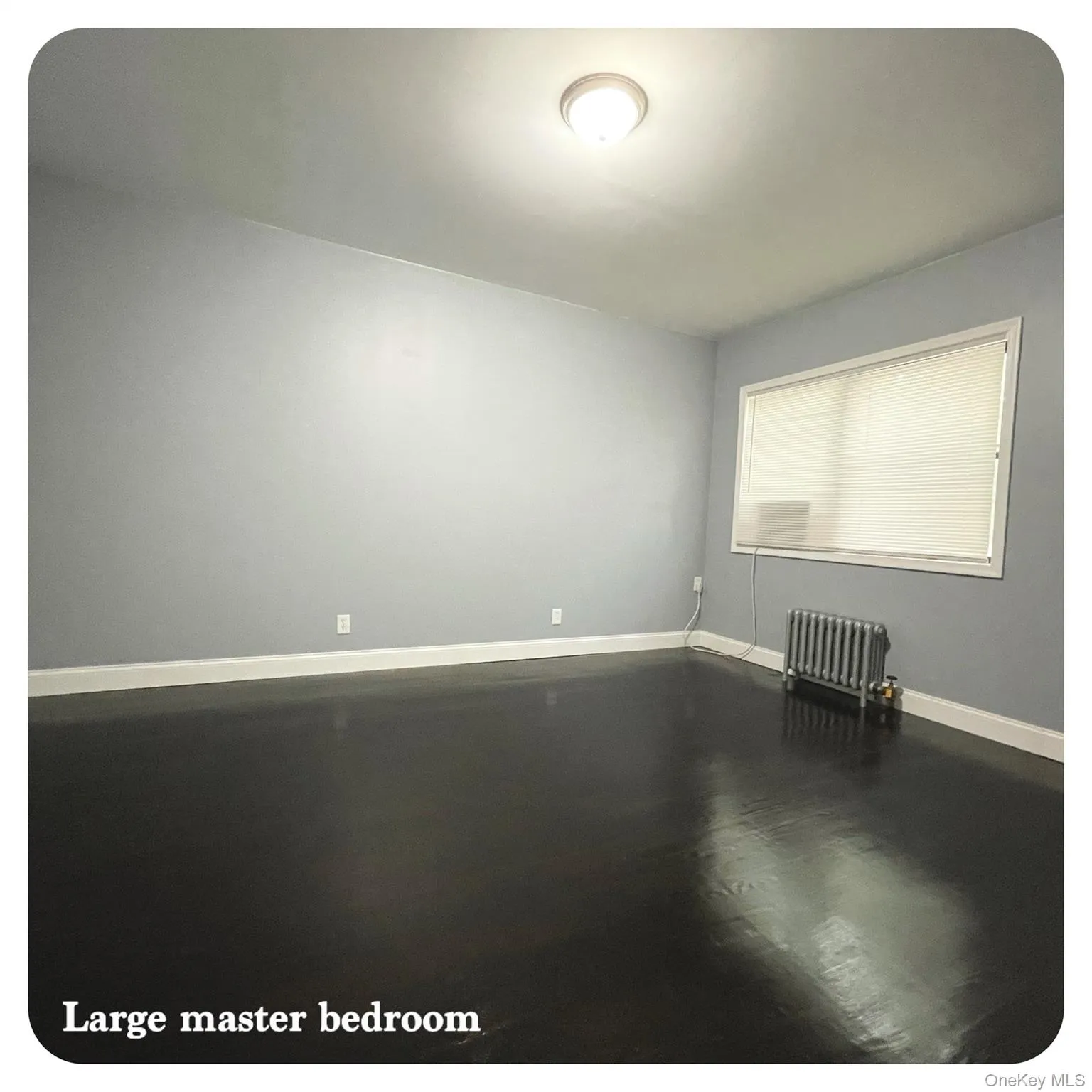 Large primary bedroom featuring radiator and wood finished floors Large primary bedroom featuring radiator and wood finished floors