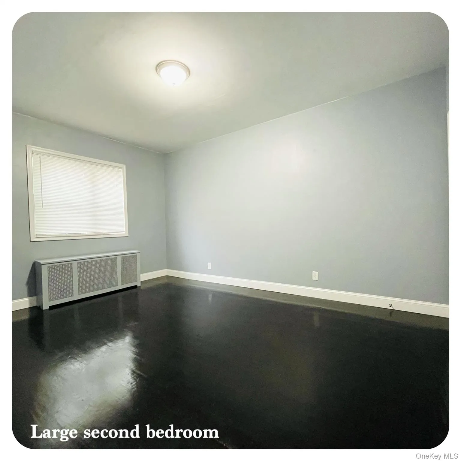 Second bedroom with radiator and wood floors Second bedroom with radiator and wood floors