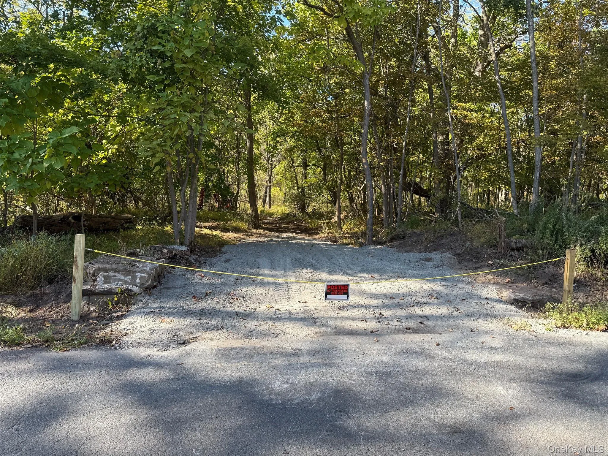 View of street View of street