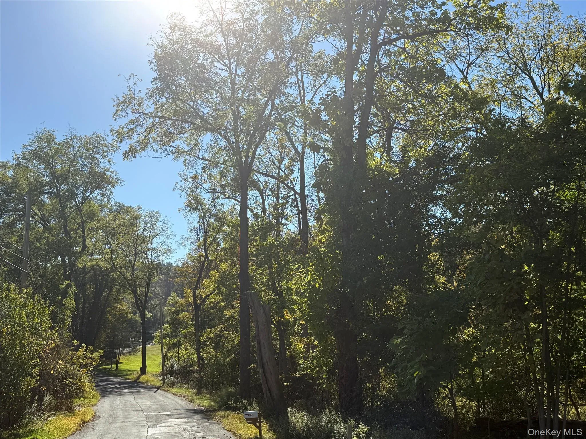 View of asphalt street with a view of trees View of asphalt street with a view of trees