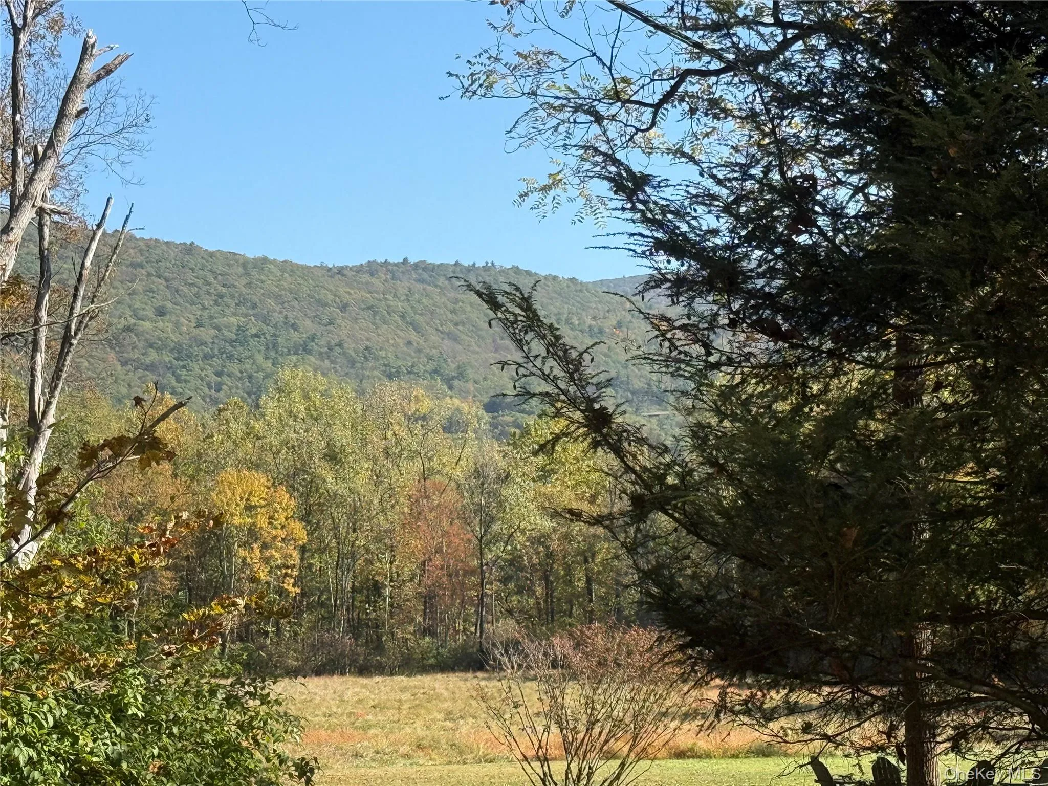 View of mountain background featuring a heavily wooded area View of mountain background featuring a heavily wooded area
