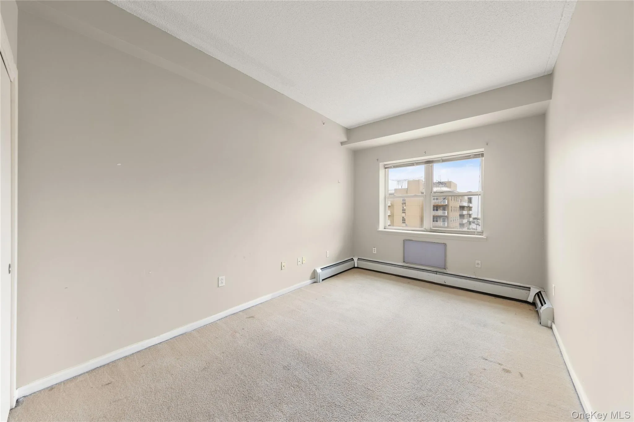 Spare room featuring light carpet and a baseboard radiator Spare room featuring light carpet and a baseboard radiator