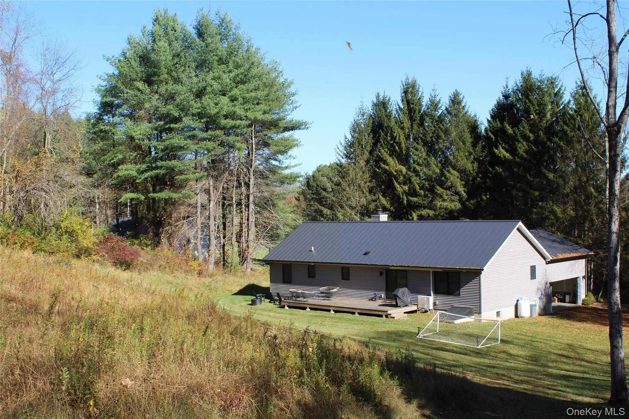 Back of house featuring a metal roof and a chimney Back of house featuring a metal roof and a chimney