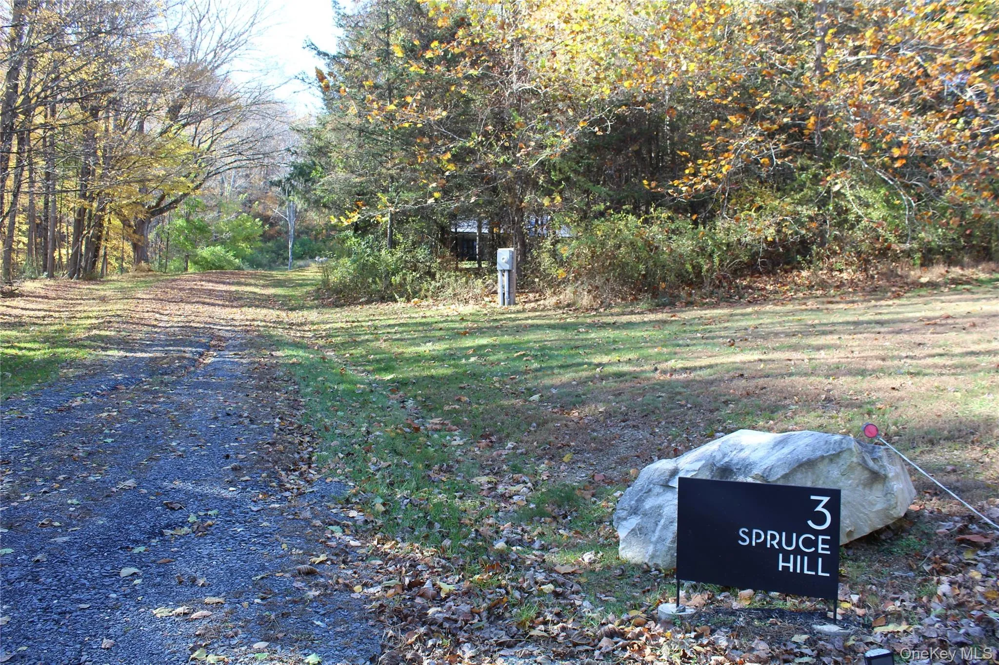 View of yard View of yard