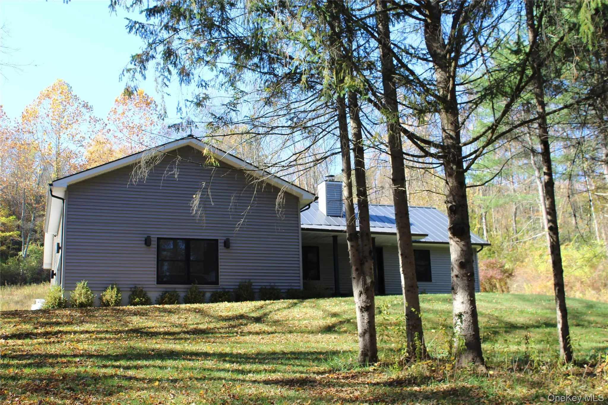 Rear view of property with a yard, a chimney, and a metal roof Rear view of property with a yard, a chimney, and a metal roof