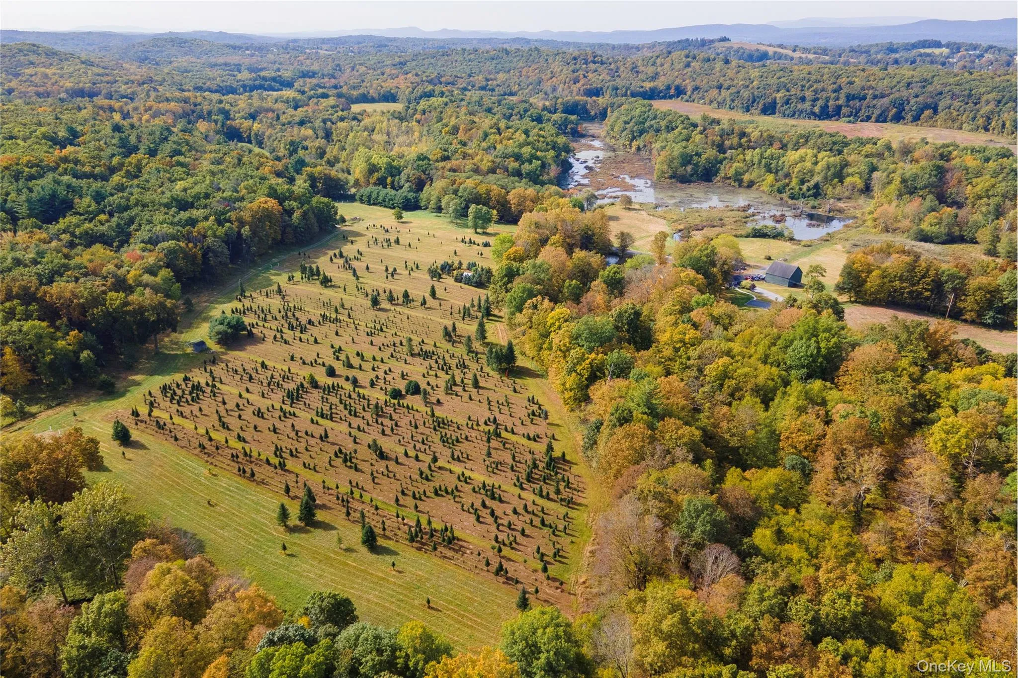 Drone / aerial view of a heavily wooded area Drone / aerial view of a heavily wooded area