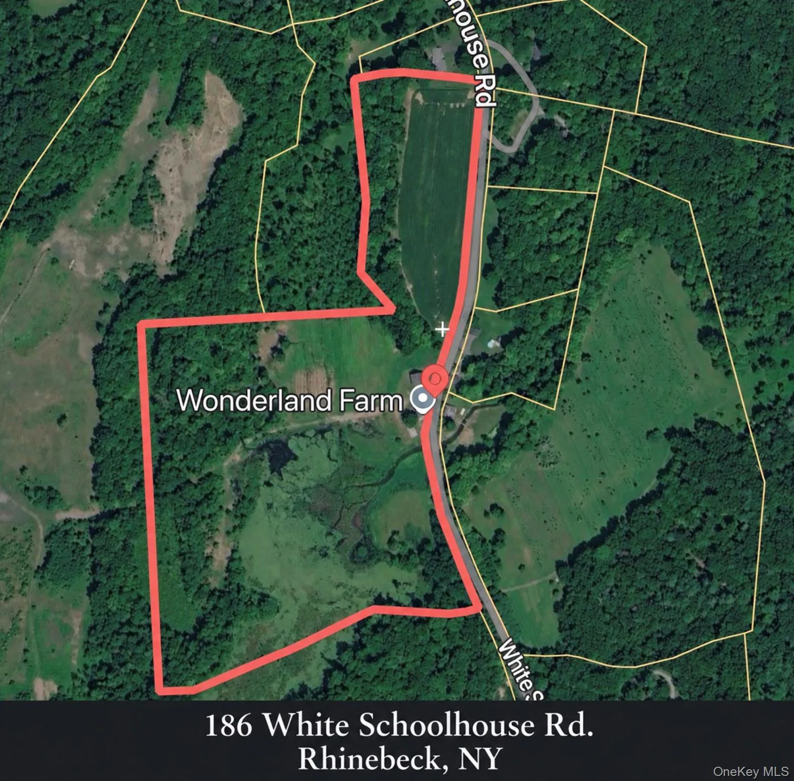 186 & 191 White Schoolhouse Rd, Rhinebeck, NY, 3 Bedrooms Bedrooms, 7 Rooms Rooms,2 BathroomsBathrooms,Residential,For Rent,White Schoolhouse Rd,0,922693 186 & 191 White Schoolhouse Rd, Rhinebeck, NY, 3 Bedrooms Bedrooms, 7 Rooms Rooms,2 BathroomsBathrooms,Residential,For Rent,White Schoolhouse Rd,0,922693