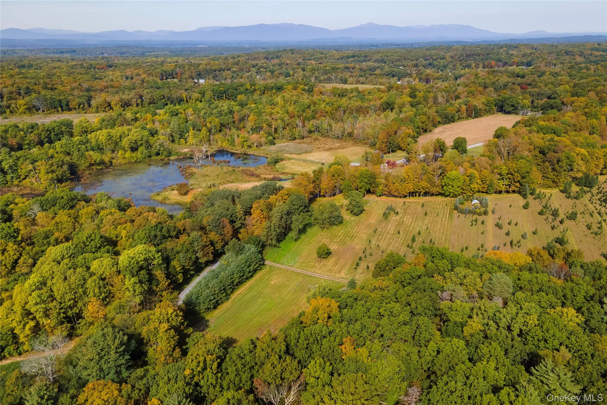 Aerial overview of property's location with a forest and a nearby body of water Aerial overview of property's location with a forest and a nearby body of water