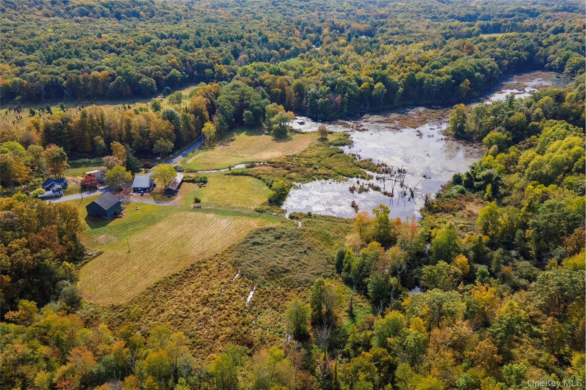 View of rural area with a heavily wooded area View of rural area with a heavily wooded area
