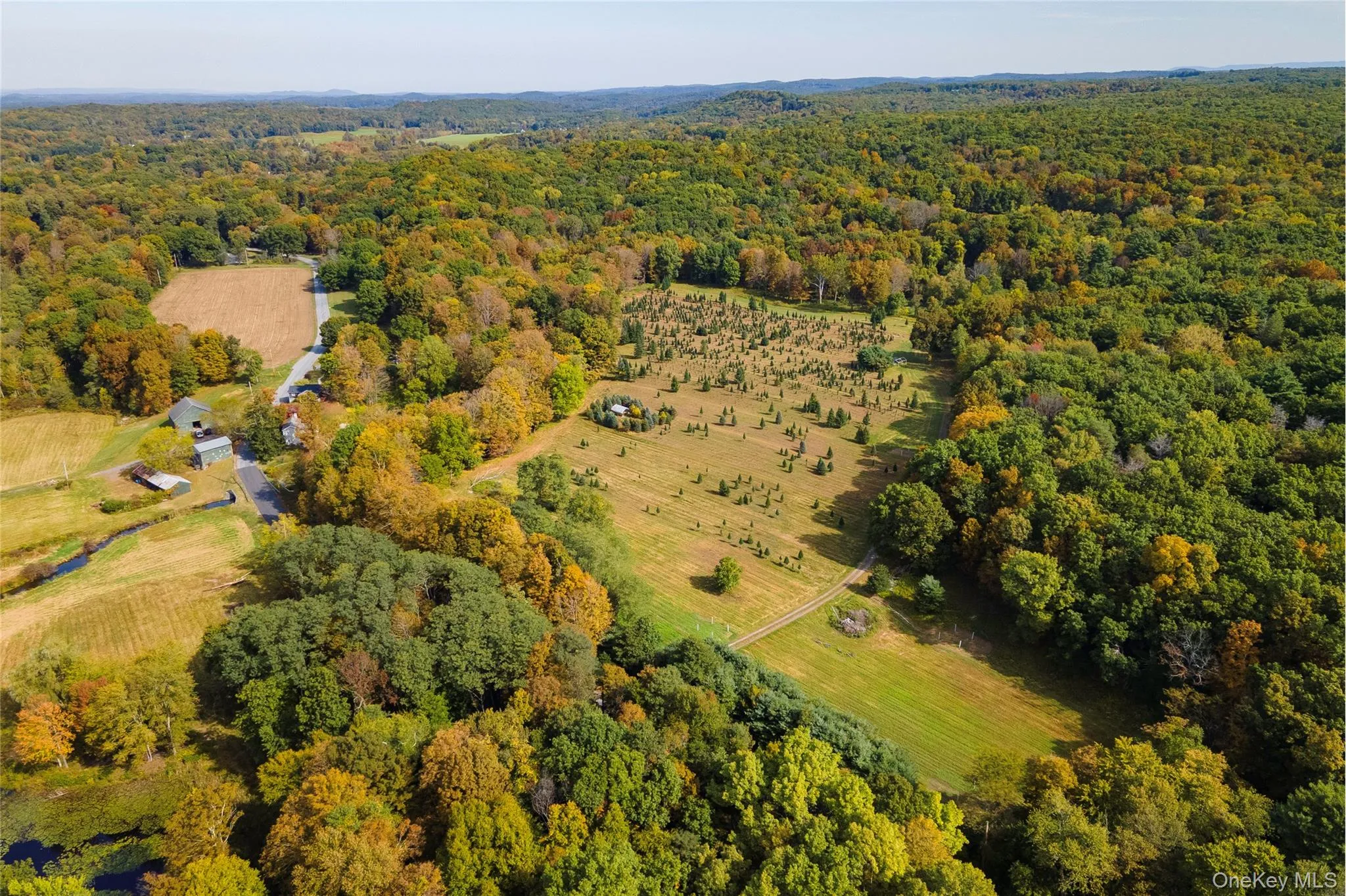 Aerial view of a heavily wooded area Aerial view of a heavily wooded area