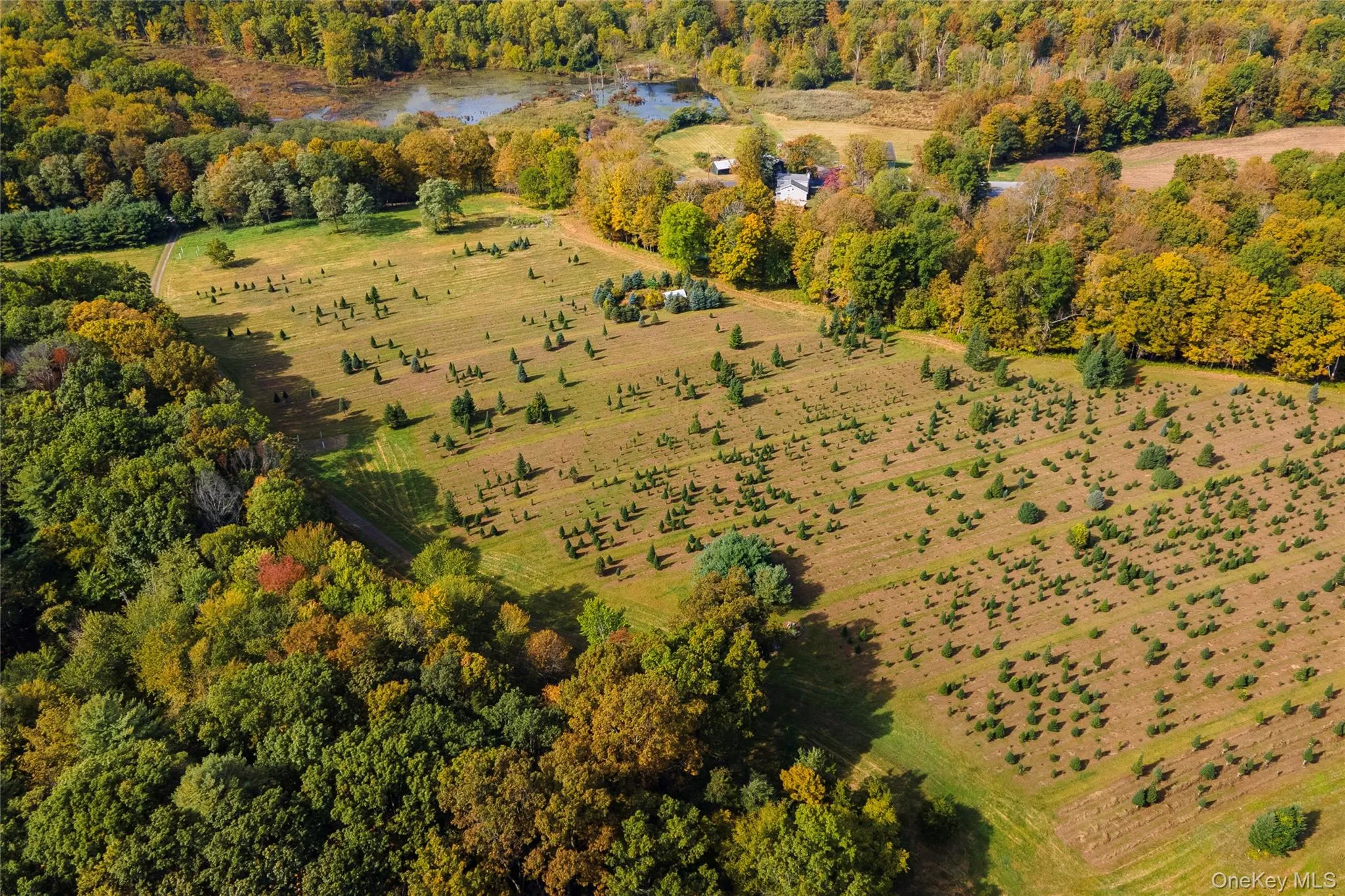 View of property location featuring a nearby body of water and a heavily wooded area View of property location featuring a nearby body of water and a heavily wooded area