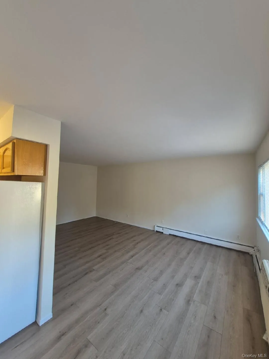 Unfurnished living room featuring light wood-style floors and a baseboard heating unit Unfurnished living room featuring light wood-style floors and a baseboard heating unit