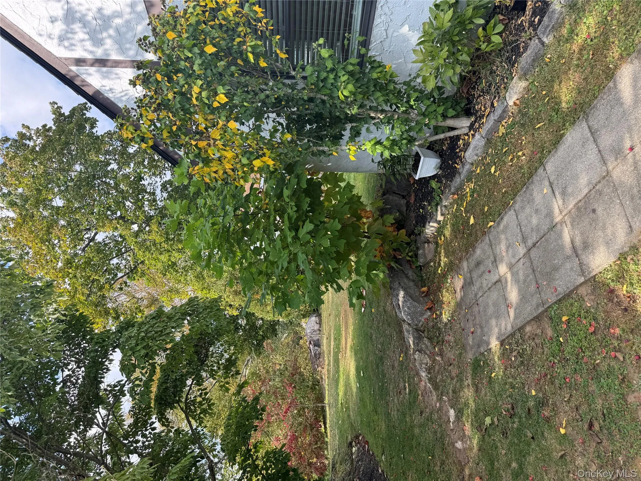 View of grassy yard View of grassy yard