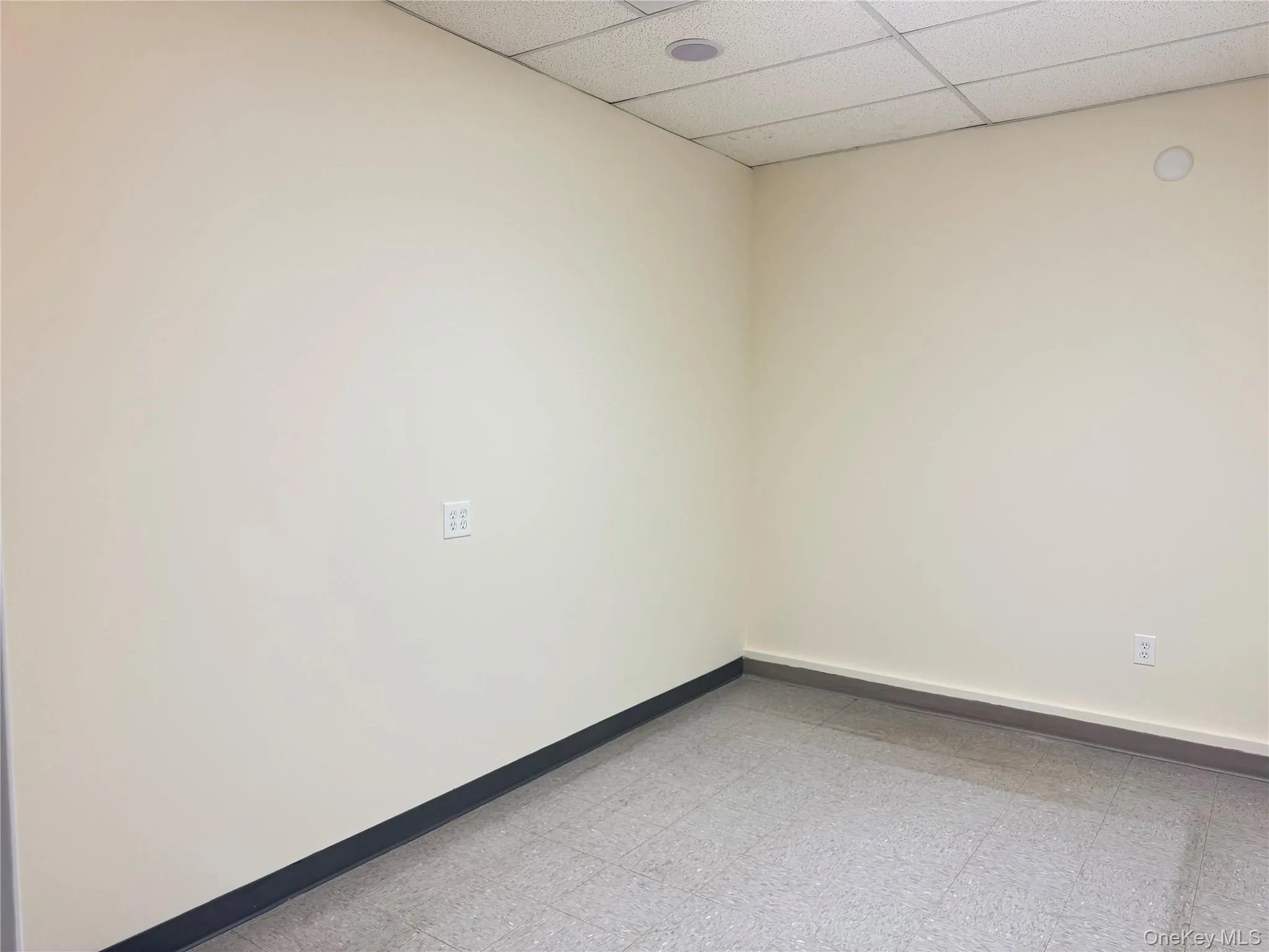 Unfurnished room featuring a paneled ceiling and light flooring Unfurnished room featuring a paneled ceiling and light flooring