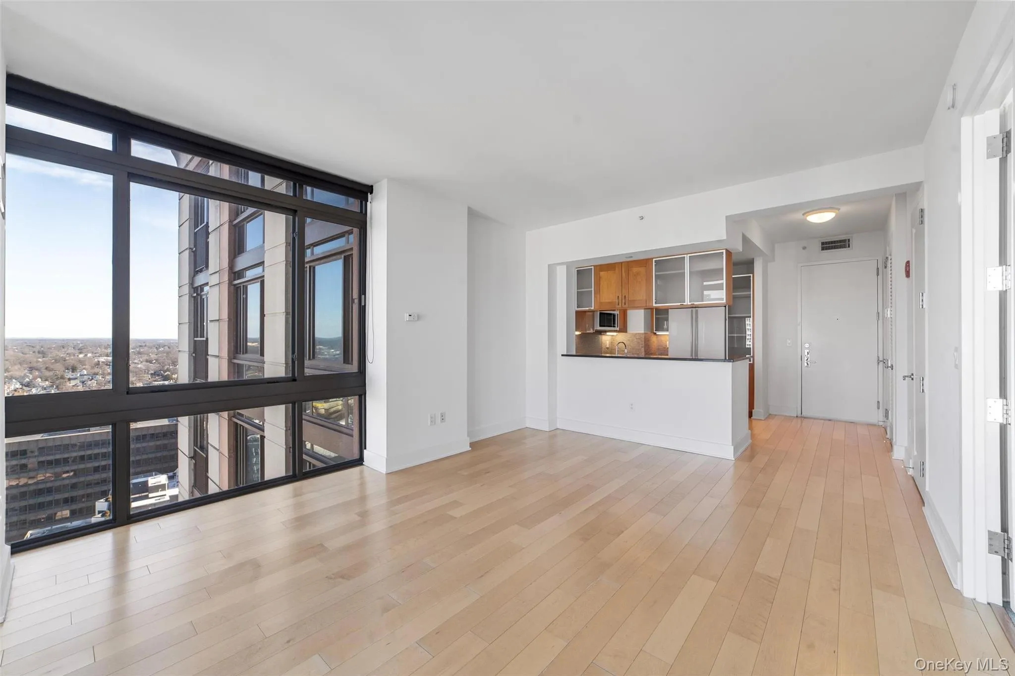 Unfurnished living room with floor to ceiling windows and light wood-type flooring Unfurnished living room with floor to ceiling windows and light wood-type flooring