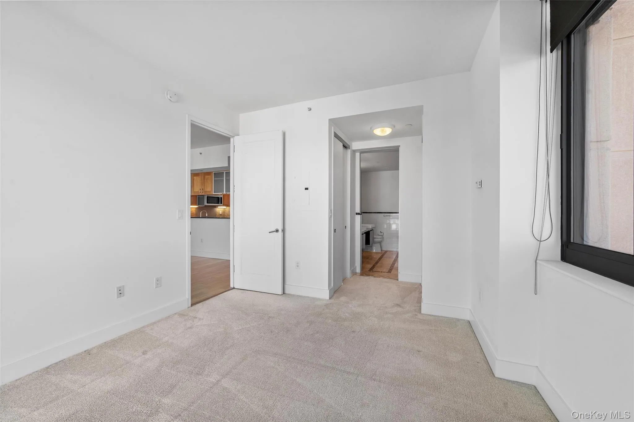 Unfurnished bedroom featuring light carpet and a closet Unfurnished bedroom featuring light carpet and a closet