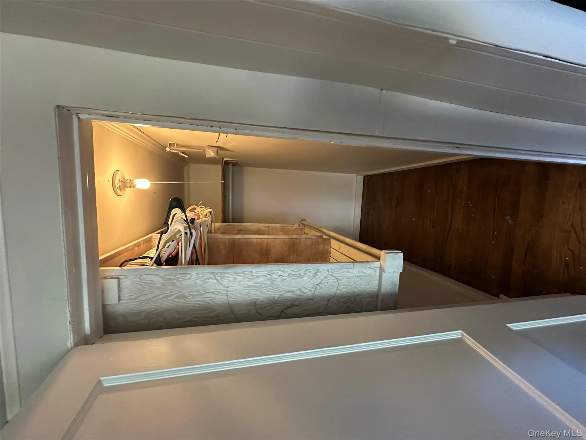 Walk in closet featuring dark wood-style flooring Walk in closet featuring dark wood-style flooring