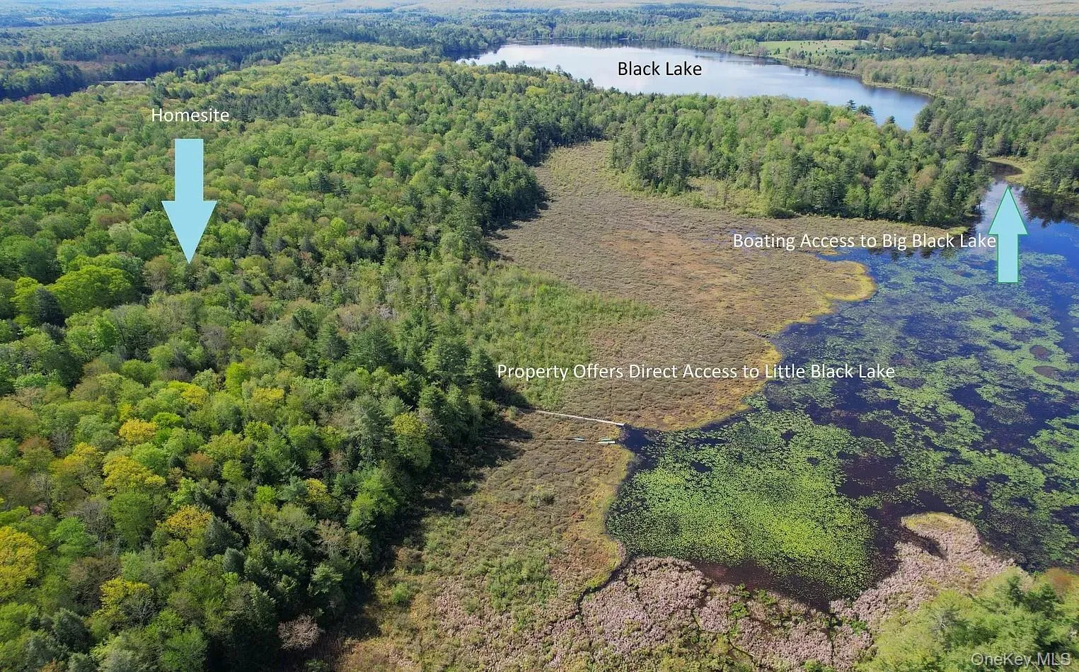 Property offers direct access to Big Black Lake. Property offers direct access to Big Black Lake.