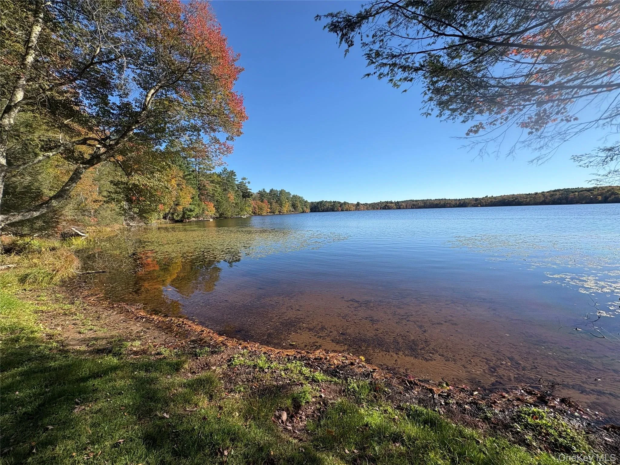 Big Black Lake from the Beach Big Black Lake from the Beach
