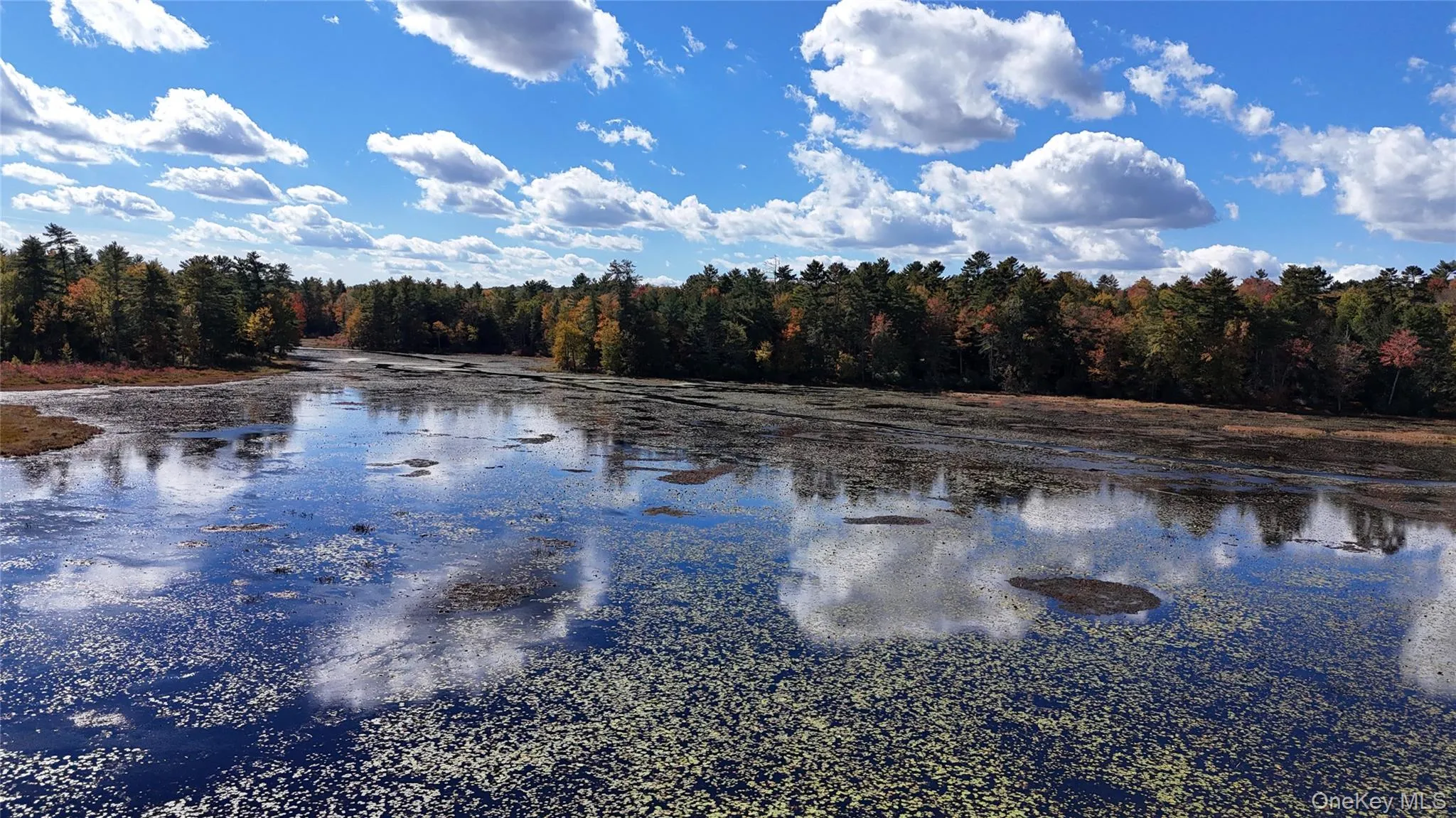 View of Little Black Lake. View of Little Black Lake.
