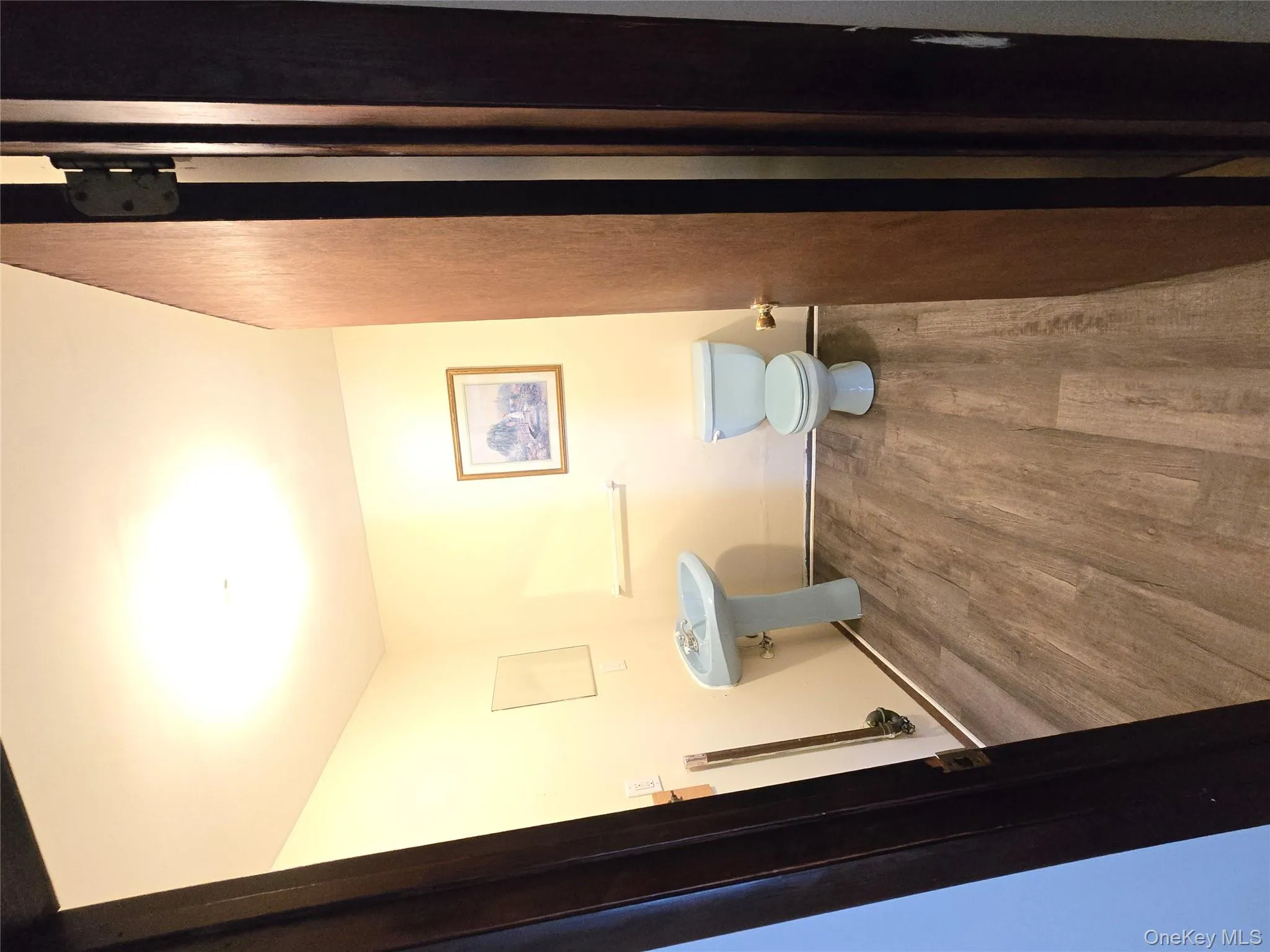 Bathroom with dark wood-type flooring and toilet Bathroom with dark wood-type flooring and toilet